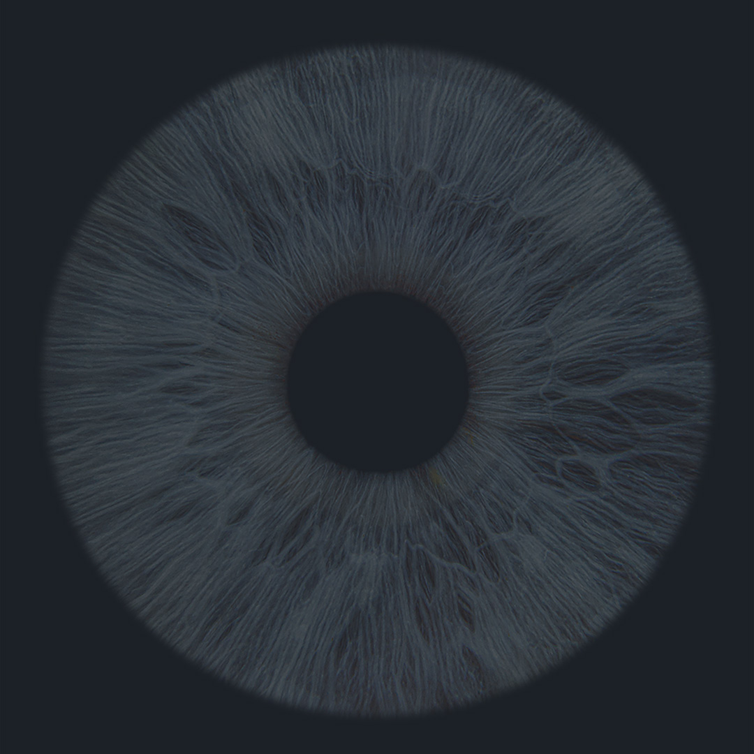 Cambridge Vision Technology