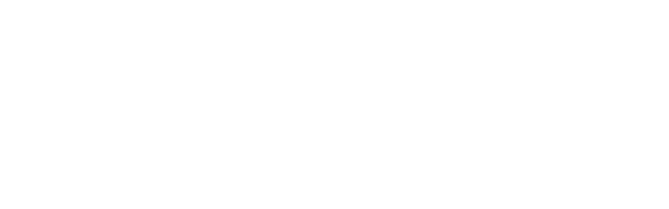  Orbit