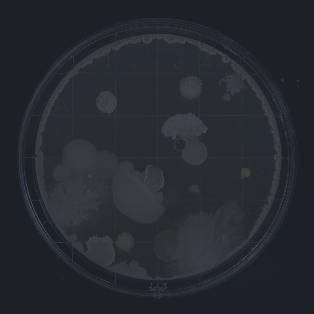 Electra Bio